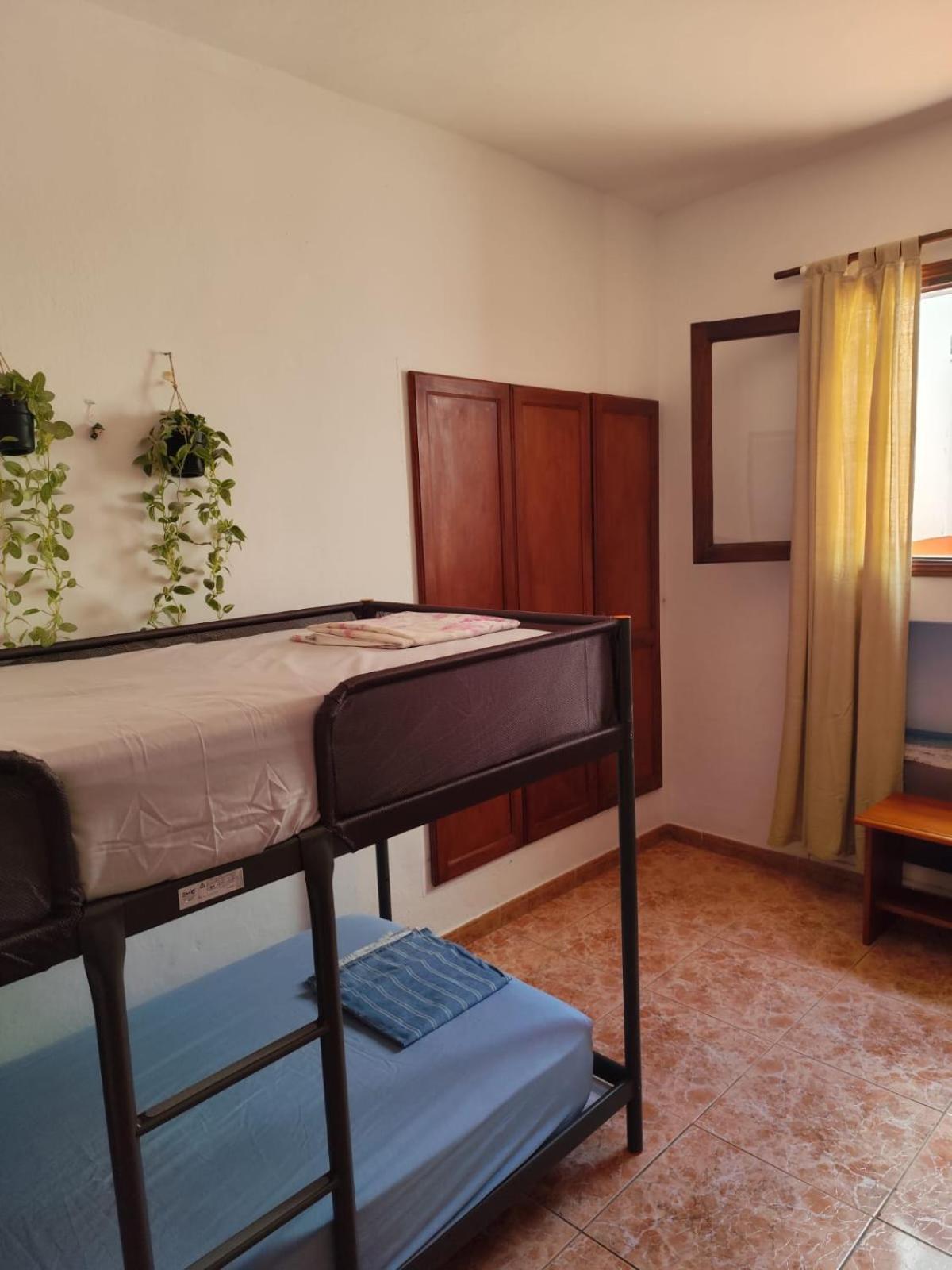 Banana Surf House Affittacamere Los Cristianos (Tenerife)