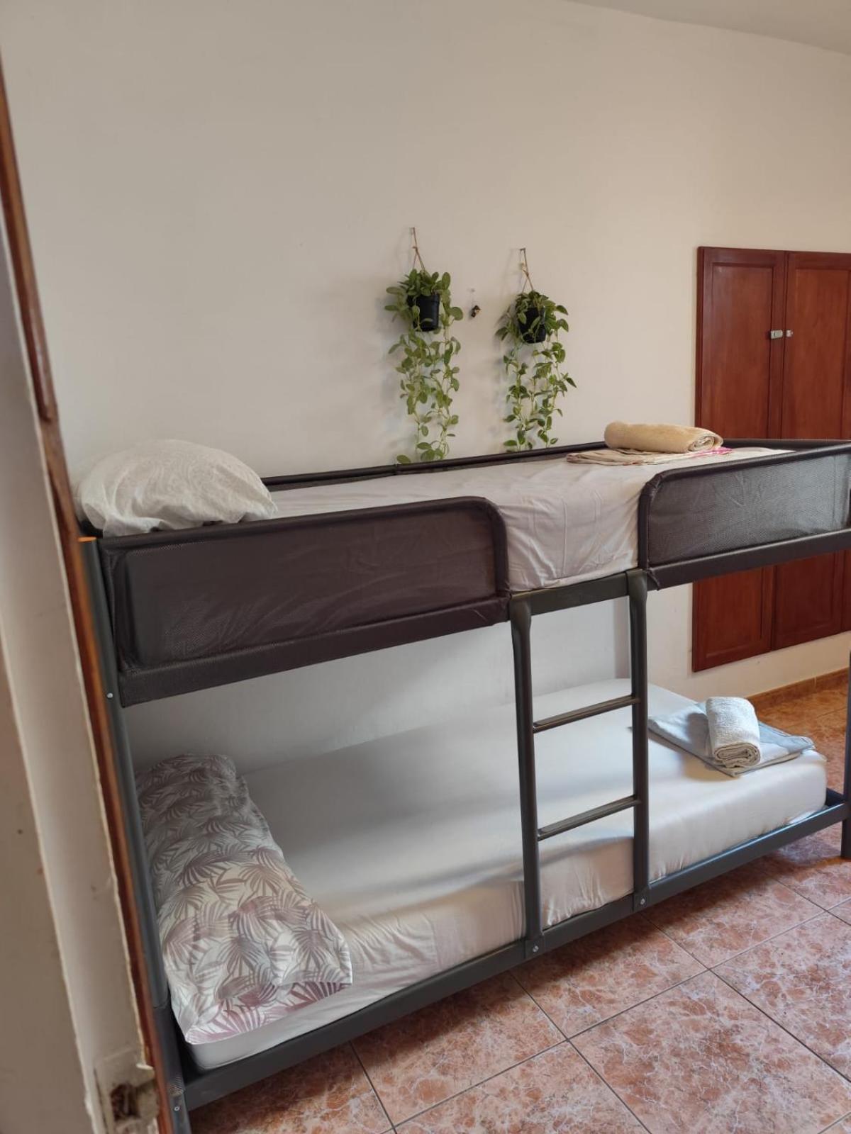 Banana Surf House Gasthof Los Cristianos (Tenerife)