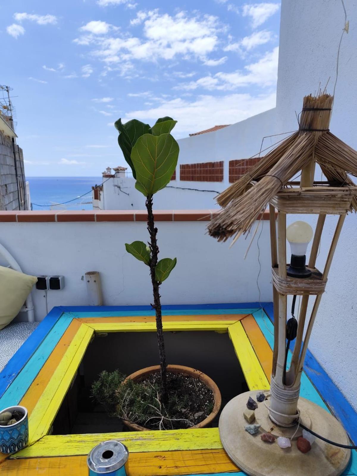 Banana Surf House *